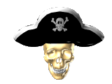 pirate skull